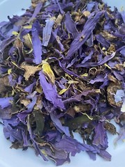 Blue Lotus Flower Sacred Lily Nymphaea Caerulea Organic (Thailand) 1kg (2.2lbs)