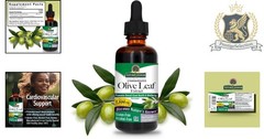 Nature’s Answer Olive Leaf Extract – Non-GMO, Alcohol-Free, 2 Ounce for Wellness