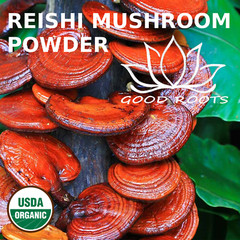 Reishi Powder Organic USA grown Ganoderma lucidum Mushroom 8 oz