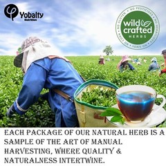 Palo Azul Tea, Kidney Wood, Palo Azul, Blue Stick Tea, Natural kidney Cleanse