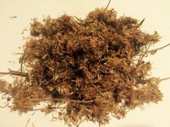 1 oz. Arnica Flowers Whole (Heterotheca inuloides) Wildharvested Mexico