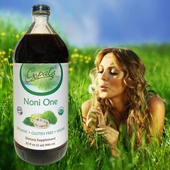Gopals 100 % PURE Organic NONI ONE Morinda Juice Liquid Superfruit 32oz Glass
