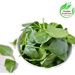 Spinach Leaves ground powder Capsules(600mg) Organic Spinacia oleracea