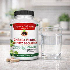 Chanca Piedra & Horsetail 1000mg 3 Bottles Kidney 120 Guisazo de Caballo Detox