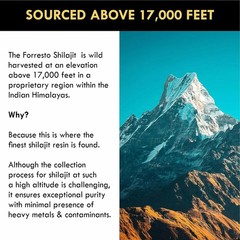 Shilajit Top Quality 100% Pure from Pakistan Gilgit Salajeet Himalayan 100 gram