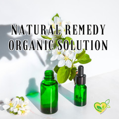 Echinacea Purpurea Non-Alcohol Extract Organic Liquid Drops 2 oz Immune Tincture