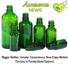 Bitter Melon Tincture 2 oz | Blood Sugar Support | Metabolism & Liver Health