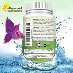 Coleus Forskohlii Root (Forskolin 500mg/serving) 180 Capsules – 90 Day Supply