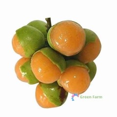 10 Seeds Melicoccus Bijugatus Quenepa Guinep Limoncillo Bajan Ackee Spanish Lime
