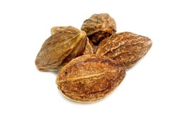 Natural Harad Badi Haritaki Terminalia Chebula Tree Fruit Herb For Good Health