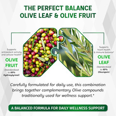 Olive Leaf & Olive Fruit 9,100Mg with 60% Oleuropein & 60% Hydroxytyrosol � plus