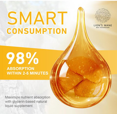 Lions Mane Mushroom Supplement Drops – Organic Lion’s Mane Mushroom Liquid Tinct