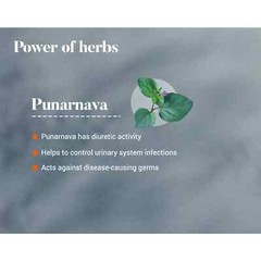 Himalaya Herbal Punarnava 60 Tabs For Urinary Wellness Exp 2027