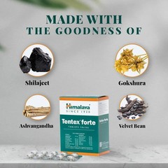 Himalaya Tentex Forte Tablets – Ayurvedic Herbal Supplement – 50 Tabs