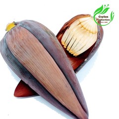 Banana Flower Blossom powder Dried Organic Musa acuminata Plantain Cavendish