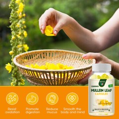 MENXI Mullein Leaf 60Capsules Support Respiratory,Lung Cleaning & Detoxification