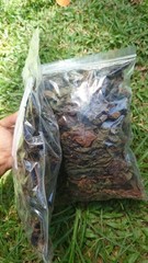 30g Dried Red Jatropha Curcas Leaves – Ratanjot Laljari Yatilung Jadi Herbs