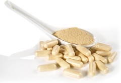 Dairyland Ginseng Notoginseng Capsules 75ct Tienchi Panax Ginseng Immune Support