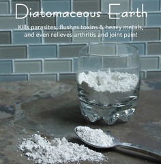120 Diatomaceous Earth Capsules (Lot of 5) – Silica,Detox,Heavy Metals,Immunity