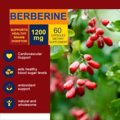 Qty10/60/120 Natural Berberine HCL Extract 1200mg Capsules Blood Sugar Support