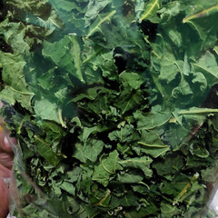 100% Pure Herbal Natural Dried Papaya Leaves (Carica Papaya) for Immunity 100g