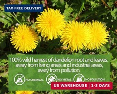 Dandelion Tea 100-Leaf & Root Herbal Tea Bags for Liver & Kidney Health Detox