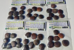 Haba o Semilla de San Ignacio 8 Habas Enteras Ignatius Bean !!!