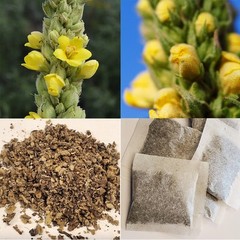 Organic Mullein Leaf Tea Herbal Tea Bags for Lung Cleanse Respiratory Breathing