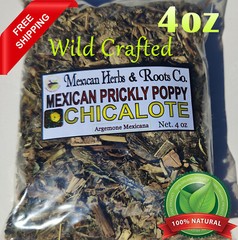 Chicalote, Mexican prickly poppy, satyanashi argemone mexicana 4oz wildcrafted