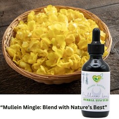 Mullein Leaf Non-Alcohol Extract Natural Liquid Drops 2 OZ Bottle Lungs Breath