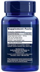 GINKGO BILOBA CERTIFIED EXTRACT 120mg 365Cap MEMORY BRAIN SUPPORT LIFE EXTENSION