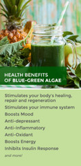 STEM CELL – Blue Green Algae Beta-carotene Levels – Organic Antioxidant – 1 Bot