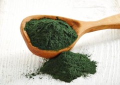 Nutritional Boost – BLUE GREEN ALGAE 500MG – Green Superfood 2 Bottles 120 Caps