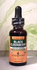 HERB PHARM Organic Black Elderberry Alcohol Free 1 fl oz – Exp 12/2028