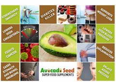 60 Avocado Seed + Moringa Oleifera Tea Bags – Incredible Blend•Amazing Benefits