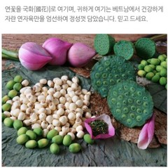 100% Natural Nelumbinis Semen Powder 300g Medicinal Korean Herbal Powder KOREA