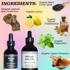 Native American Certified Shiaqga Mushroom Super Concentrate 4oz