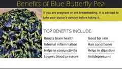 Blue pea Dried butterfly whole Flower organic 100% pure natural herbal drink