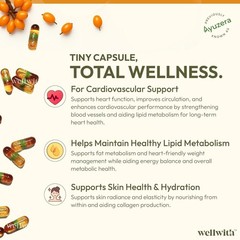 3x Wellwith Sea Buckthorn Berry Oil 30 Veg Capsules Himalayan Omega 3 6 7 9