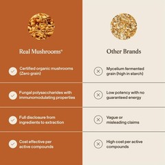 Organic Cordyceps Mushroom Extract Capsules – 300 Count – Energy & Stamina Suppo