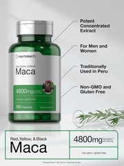 Horbaach Maca Root Capsules For Men And Women | 120 Pills | High
