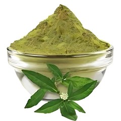 Bhringraj powder (Eclipta alba) for hair 100% Organic Pure Natural Free Shipping