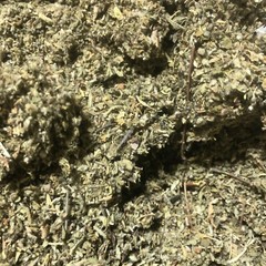 Damiana & Mullein Herb Mix Natural Organic Wild Crafted Brew Leaf – 1/2 lb pound