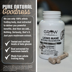 Dr. Emil Nutrition Elite Lion’s Mane Mushroom Plus Chaga, Reishi & Maitake 2PACK