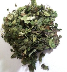 Mexican Dream Herb (Calea Zacatechichi) Wildharvested Mexico 2 oz. – 1 kg.