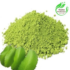 Kalanchoe pinnata Leaves Capsules(600mg) Herbal Organic Miracle Leaf Air Plant