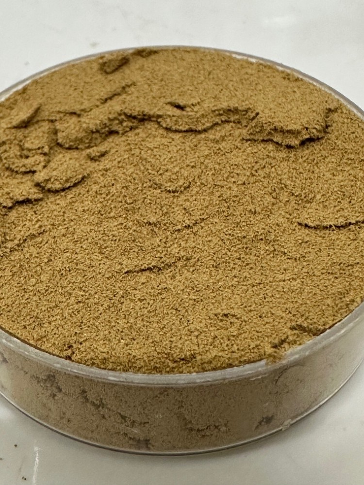 Deer Antler Velvet 20:1 Extract Powder-25gms