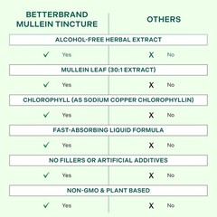 Mullein Drops Tincture for Lung Detox – Alcohol-Free Respiratory Support, 1 Mont