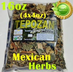 Tepozan hierba/te,Buddleja cordata,Palo de zorro prieto,tepozán grande,tepozán !