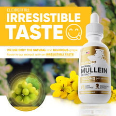 Mullein Leaf Drops 2oz Lung Cleanse Respiratory Bronchial Immune Support